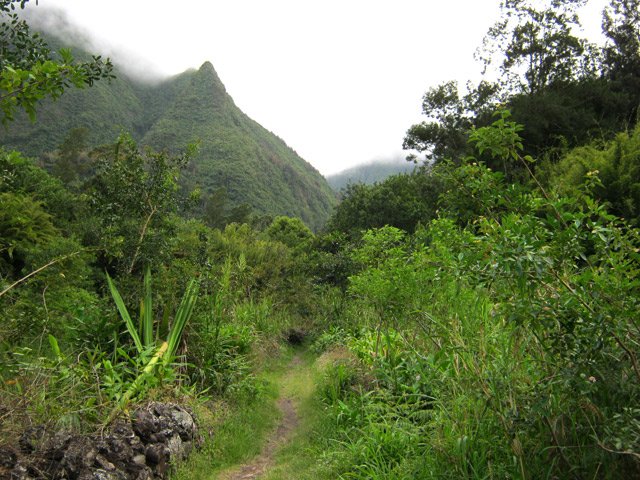 Une portion de sentier entre les cultures et la ravine