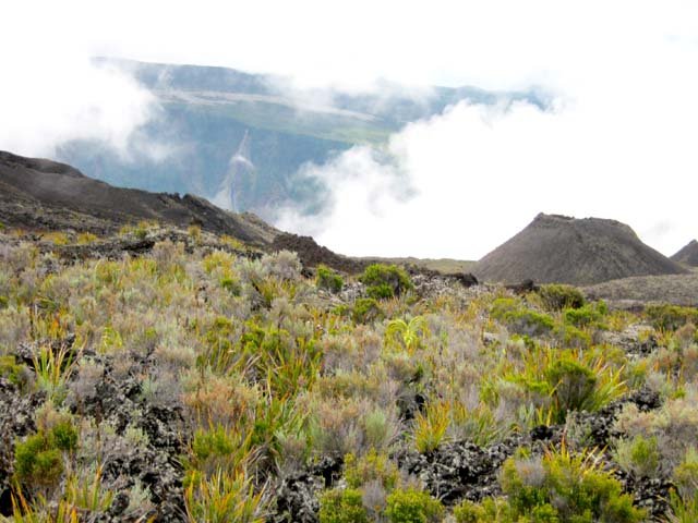 Le Rempart de Bois Blanc, sous les nuages depuis un rare coin de verdure.