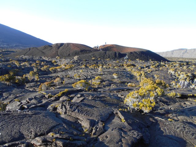 Le formica Leo, très fréquenté dès le lever de soleil