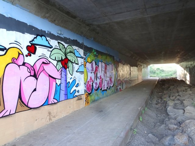Traversée de la Route des Tamarins en empruntant le tunnel