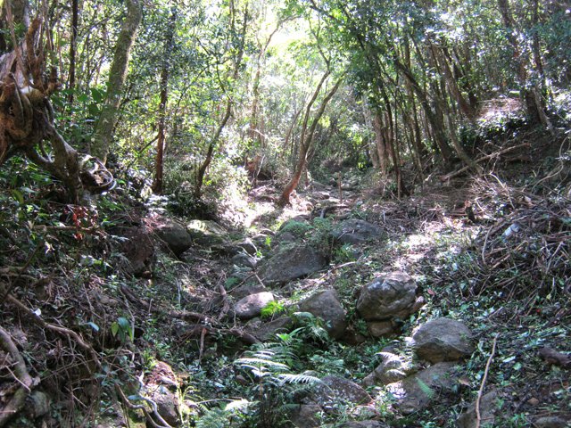 La ravine rocheuse en bas du parcours