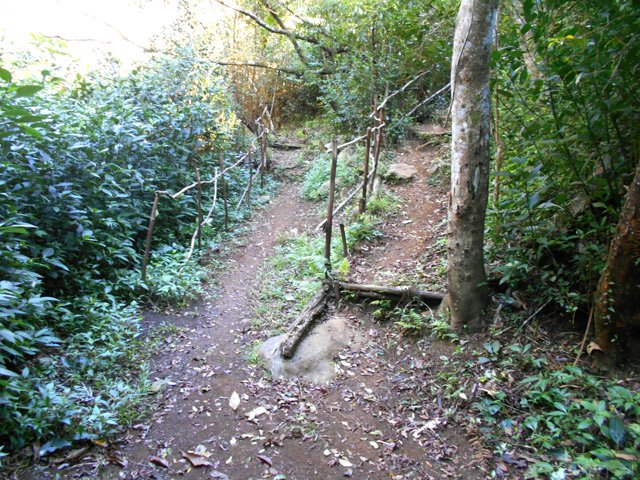 Une bifurcation parmi les nombreuses rencontrées