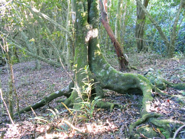Un banc naturel pour se reposer entre deux montées