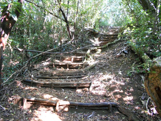 Une des portions les plus longues en forte pente