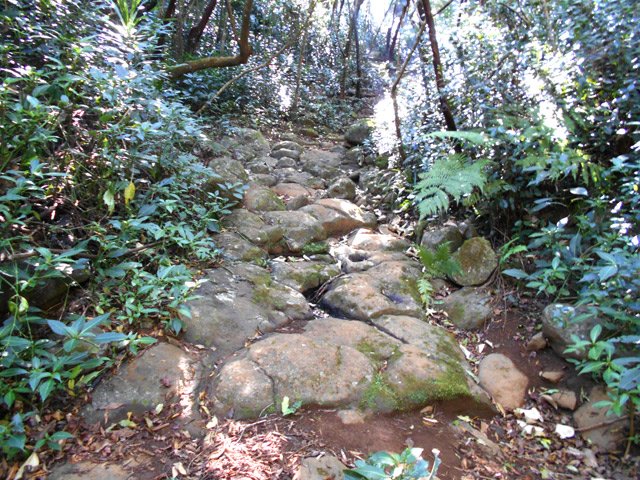 On marche durant quelques mètres sur le fond d'une petite ravine