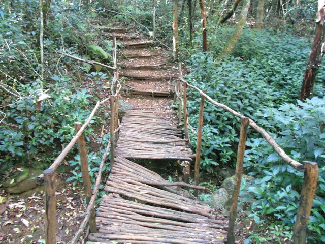 On passe encore très bien en marchant à gauche