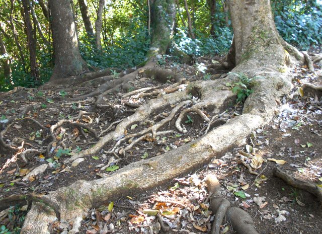 Une petite dernière avant de rejoindre le village