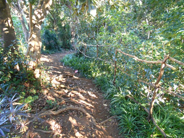 Portion plate et très propre