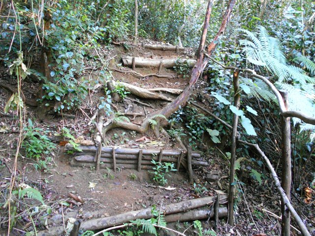 Des portions raides parfois mais toujours très courtes