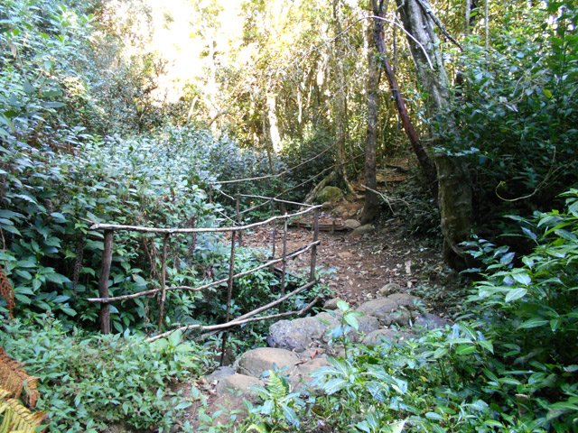 Un premier passage de ravine, bien aménagé