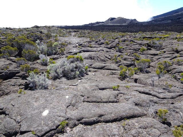 Les traces blanches rapprochées rassurent en cas de brouillard