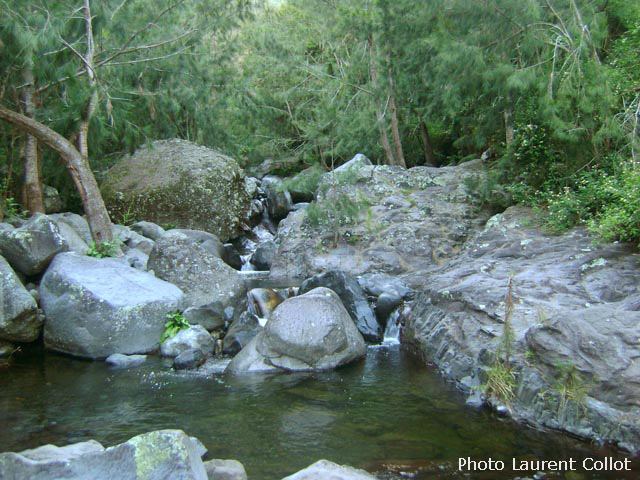 Passage à gué de la Rivière des Galets après Maison Laclos