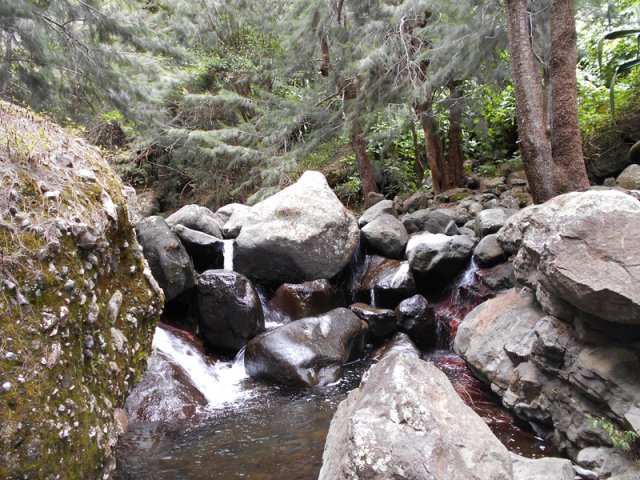 Le bras Massine propose quelques cascades à deux pas du sentier