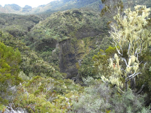 La vallée encaissée de la Rivière des Galets avant la Plaine des Tamarins