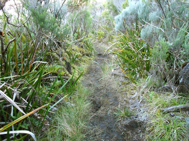 Une autre portion un peu plus loin