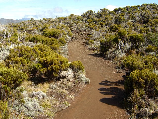 Sentier très agréable sur la première moitié du parcours