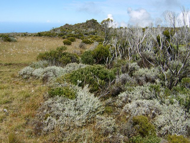 Proche du rempart : prairies, ambavilles, branles gris et squelettes calcinés