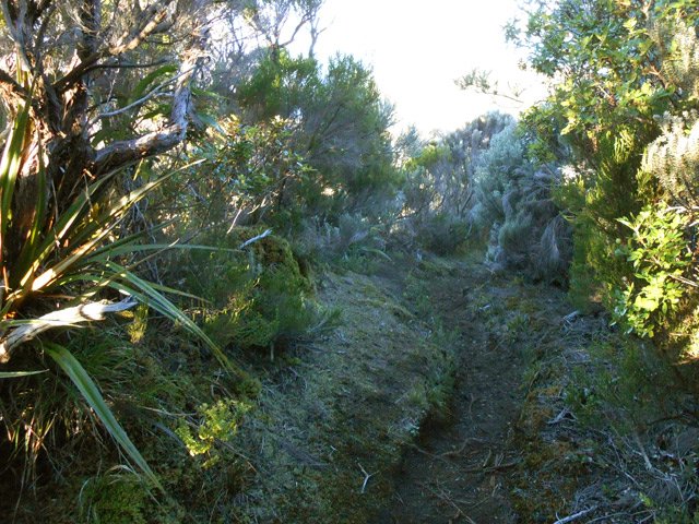 Avec les sabres marrons, la boue fait son apparition jusqu'au Nez Coupé