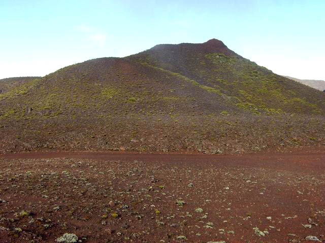 la piste de l'ONF qui passe près du Piton Rouge