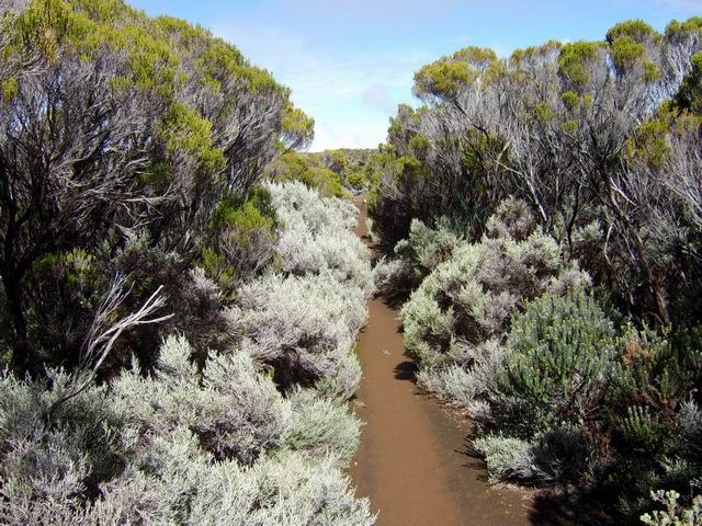 Le sentier en bordure de rempart, toujours facile et agréable