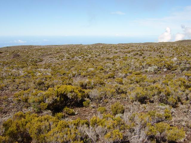 La traversée des landes de Foc-Foc