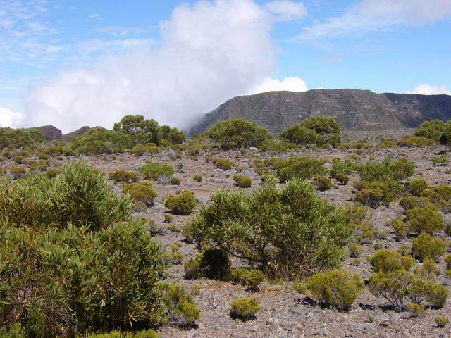 Le Morne Langevin vu depuis le Piton de Bois Vert