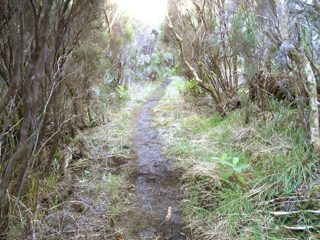 Tronçon humide mais pas trop boueux dans les branles