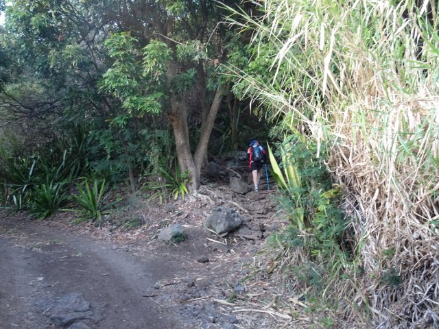 Le début du sentier du Coteau Sec sur de grosses roches