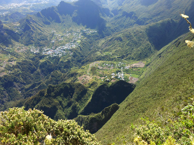 Palmiste Rouge et l'Îlet à Calebasse au pied du rempart vertical