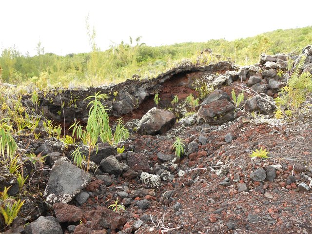 Quelques traces de la coulée de 1977 rendues visibles par les excavations mécaniques
