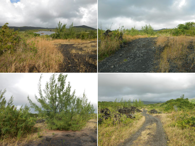 Quatre portions des pistes et sentiers de la descente de la Coulée de 1977