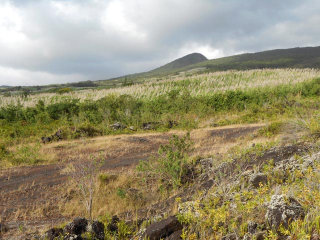 Une vue de la coulée et des champs avoisinants