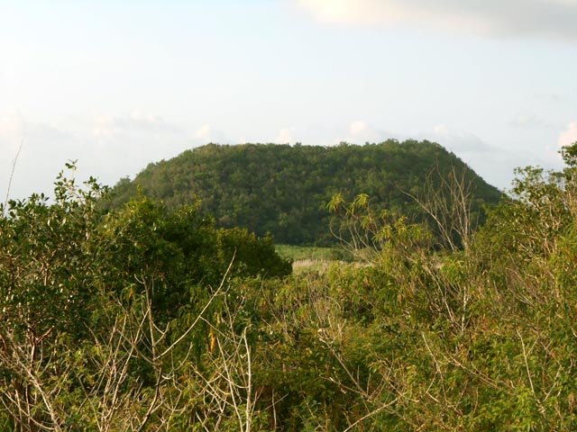 Contournement à pied du Piton Moka, recouvert de bois de couleurs
