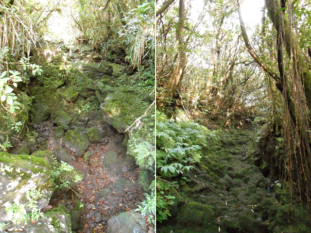 Deux ravines photographiées depuis leur radier