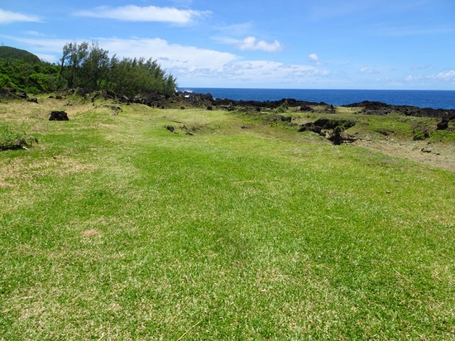 La fin de la piste est recouverte d'herbe