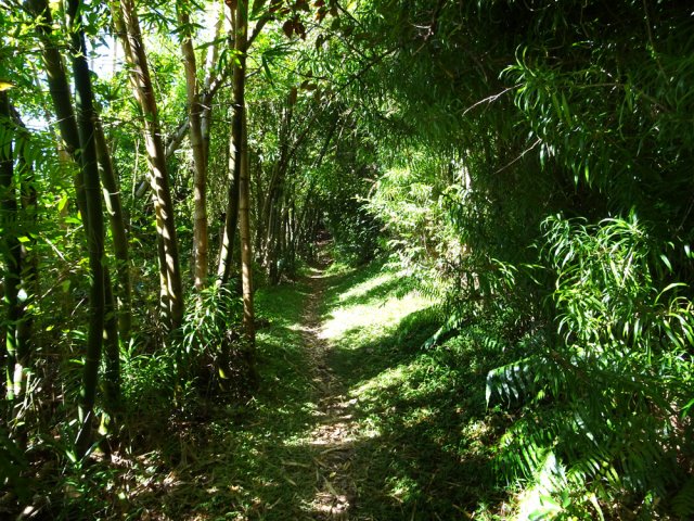 La fin de la boucle longe le rempart avant de descendre vers Bois Blanc