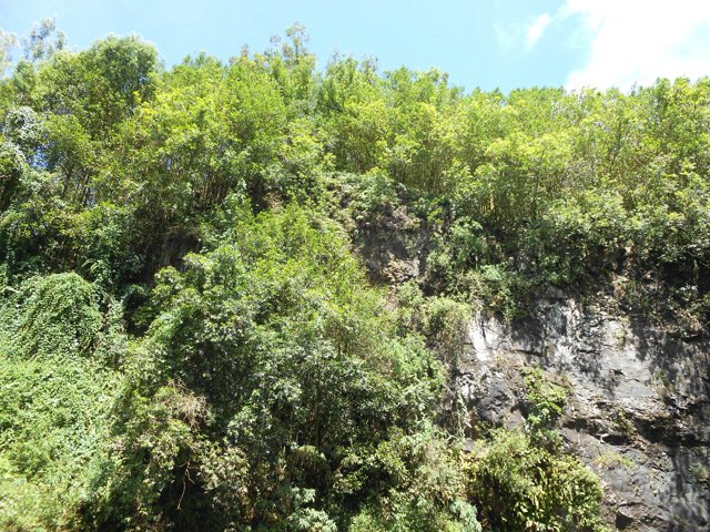 Certains abords du bassin sont infranchissables