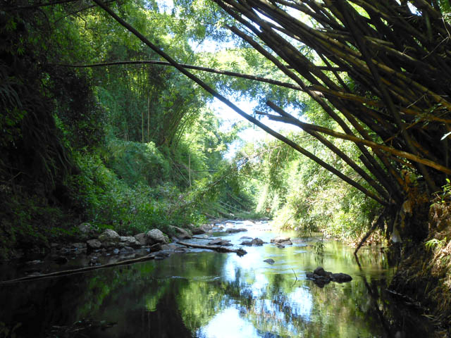 La rivière passe de la cascade à des portions très calmes