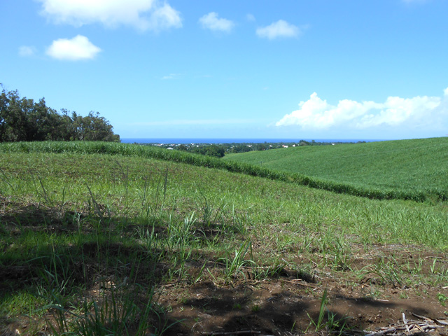 Pas de grands panoramas lors de cette promenade