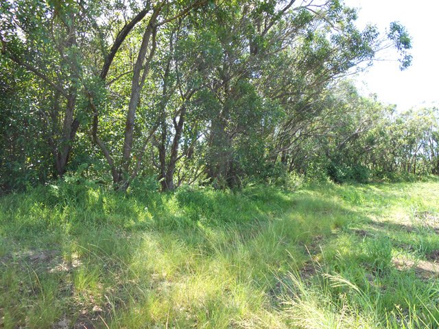 L'orée du bois, début du sentier de descente