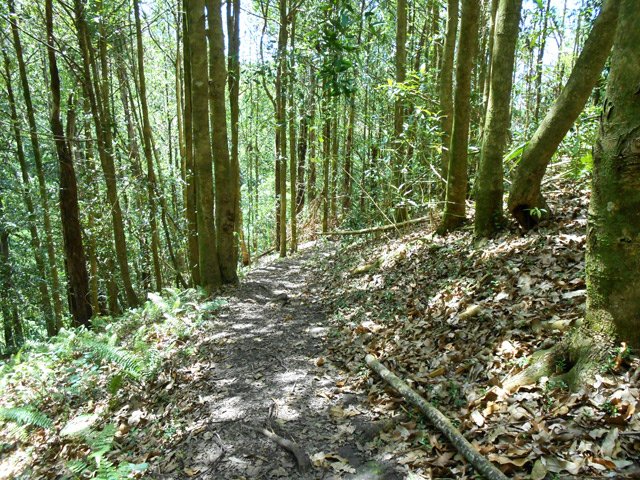 Le sentier descend calmement vers la rivière