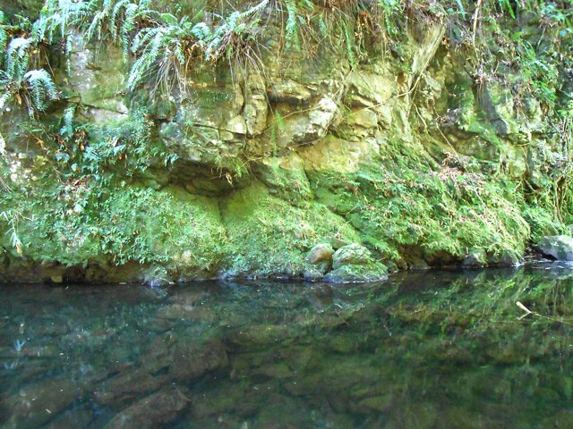 L'eau du bassin se prête bien à la baignade