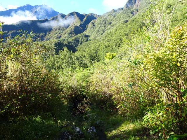 Au début le sentier est en faible pente