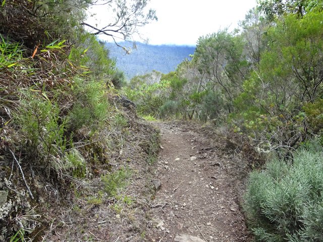Le sentier du côté de la ravine Alidor