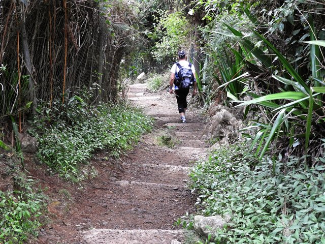 Les dernières marches avant d'arriver à la Nouvelle