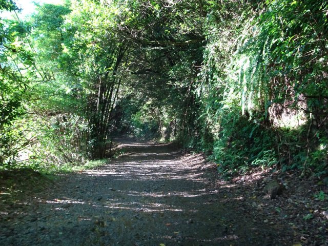 La piste et le point de vue sur le Bassin Nicole