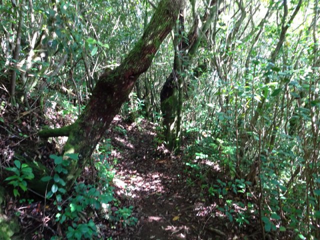 Le sentier en rive gauche est en dents de scie mais de bonne qualité