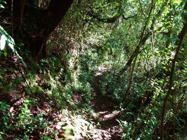 Une autre portion plate du sentier en rive gauche