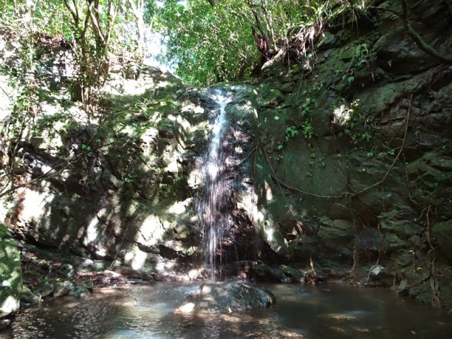 Une minuscule cascade venant d'un petit affluent de la Rivière Sainte-Suzanne
