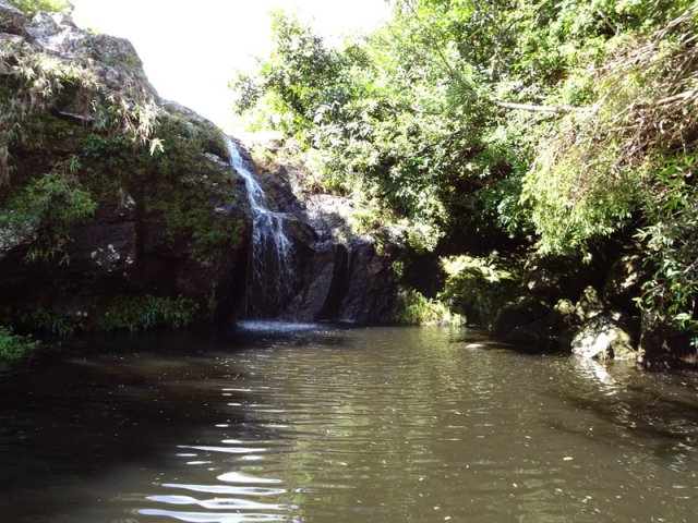 Visite rapide au modeste Bassin Bois